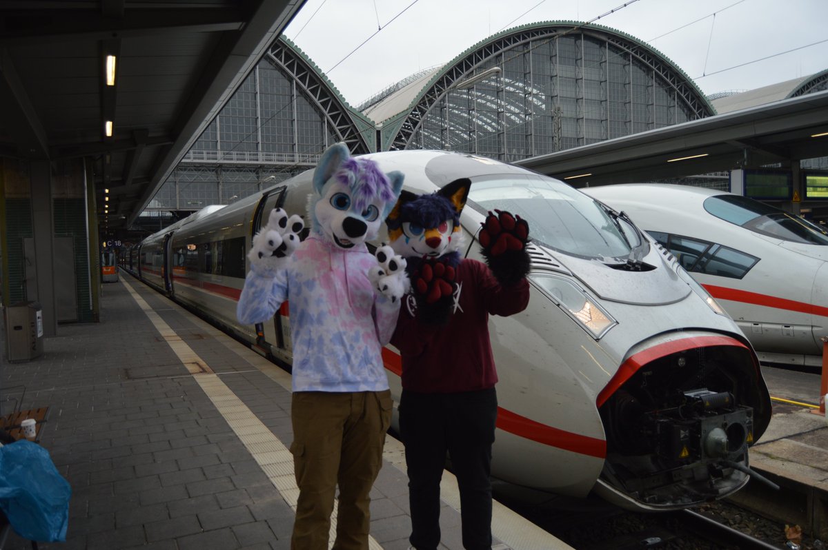 From the Oldest to the Newest ICE. The #DB ICE 3Neo the 
Huskies personal fav also now with extra Floof <a href="/FynnTheDummy/">FynnIsKindaDumb</a>. These units were itroduced in 2022 and are Husky approved uwu.

📷 <a href="/Phynnax/">Phynnax</a> 

#furry #fursuit #ICE