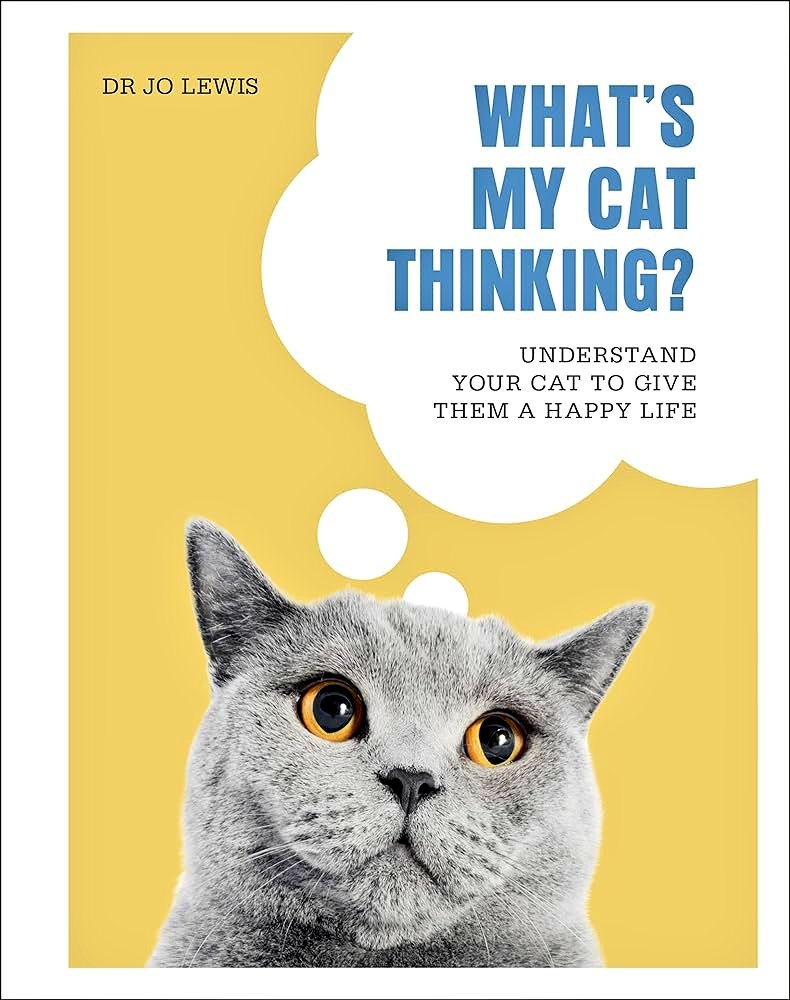 HodgeTheCat's tweet photo. 2024 Stories of Cats event @Southwarkcathed is taking place on 24 February. There are a few tickets remaining... https://t.co/KjX7tm27Ga

Join me and these lovelies..
@kimberlie1967 @thecatvet @LucyHoileFB @JRobinsonFest @Medieval_Badger @RevWhoGuest @rosiebrookspics @catcuddles https://t.co/uNBmdWjWCS