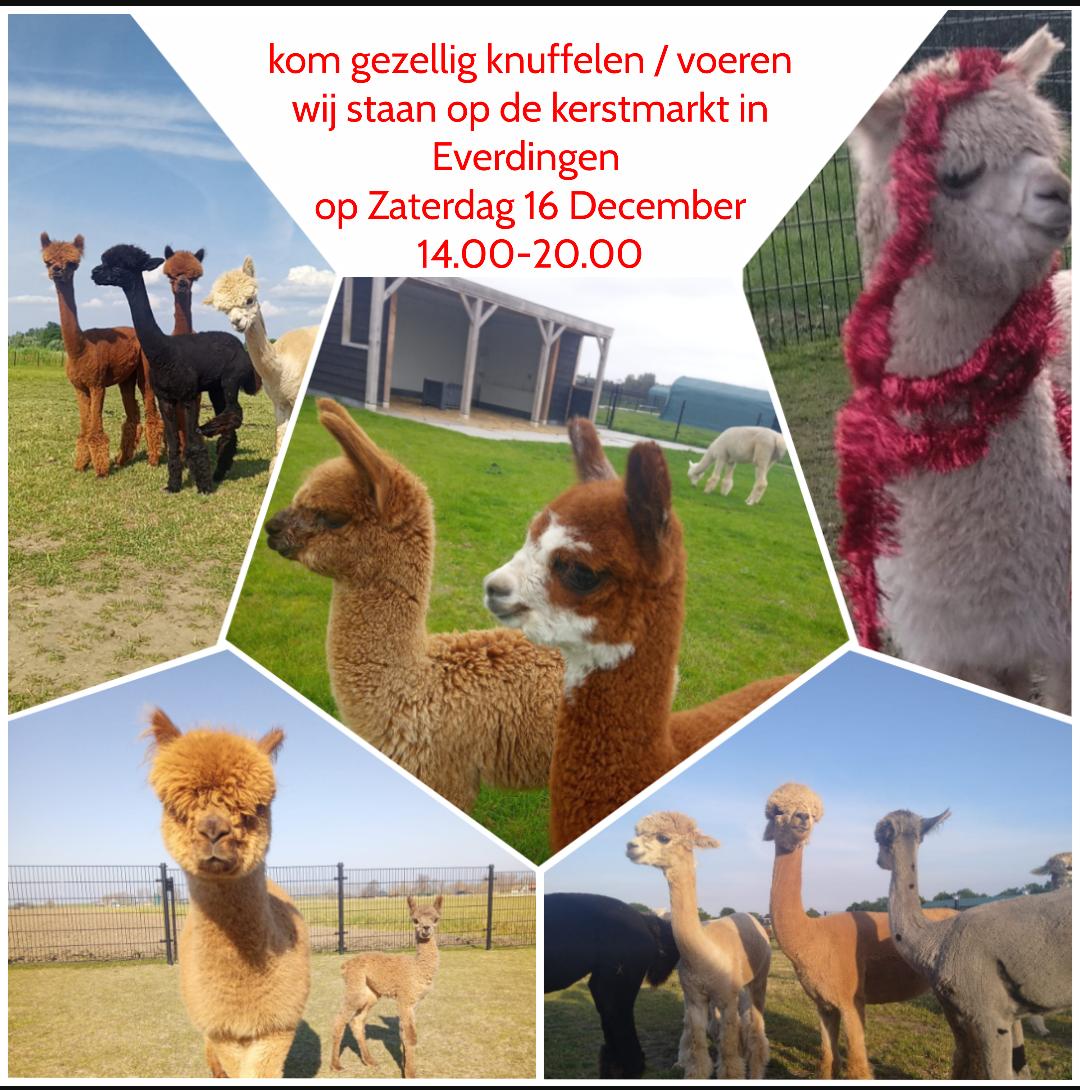 Wij staan op de kerstmarkt in Everdingen daar zijn nog meer leuke dingen te doen dus kom gerust even langs, wij staan in een mooie grote tent dus slecht weer is geen reden om weg te blijven 😉