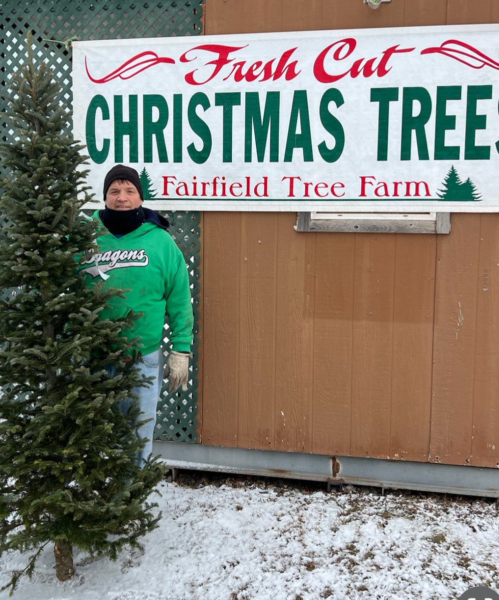 ThommyPetersen's tweet photo. First year in 20+ years couldn’t find a Xmas tree on our farm that would work for us but glad to support a local tree farm here in Pine County if you haven’t got your tree yet checkout MN Grown farms https://t.co/fMdHECL3Ml 🎄 https://t.co/6Rkb3Ppjmc