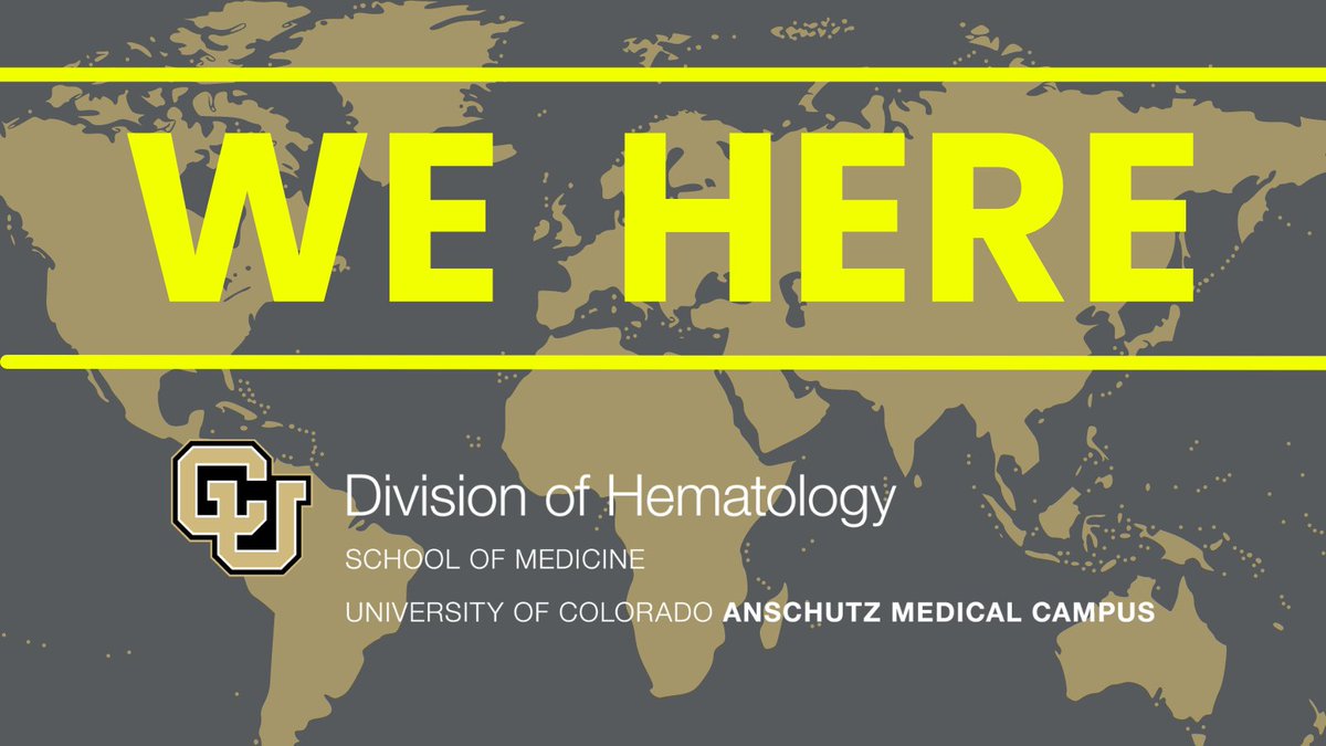 CU Anschutz Division of Hematology (@cuhematology) on Twitter photo CU MONDAY #ASH23
Dec 11-MONDAY!
<a href="/dalessandrolab/">Angelo D'Alessandro</a> 10:30am | Rm 33-SD Conv Ctr
<a href="/mana1981/">manalikamdar</a> 10:30am | Great Hall B-Manchester Grd Hyatt
<a href="/AlanaKelScience/">Alana (Keller) Hoey, PhD</a> 6pm | poster Halls G-H, SD Conv Ctr
<a href="/cduarte8490/">Cassandra Duarte</a> 6pm | posterâď¸
Kellen Gil 6pm | posterâď¸
Marc Schwartz 6pm | posterâď¸ CU MONDAY #ASH23
Dec 11-MONDAY!
<a href="/dalessandrolab/">Angelo D'Alessandro</a> 10:30am | Rm 33-SD Conv Ctr
<a href="/mana1981/">manalikamdar</a> 10:30am | Great Hall B-Manchester Grd Hyatt
<a href="/AlanaKelScience/">Alana (Keller) Hoey, PhD</a> 6pm | poster Halls G-H, SD Conv Ctr
<a href="/cduarte8490/">Cassandra Duarte</a> 6pm | posterâď¸
Kellen Gil 6pm | posterâď¸
Marc Schwartz 6pm | posterâď¸