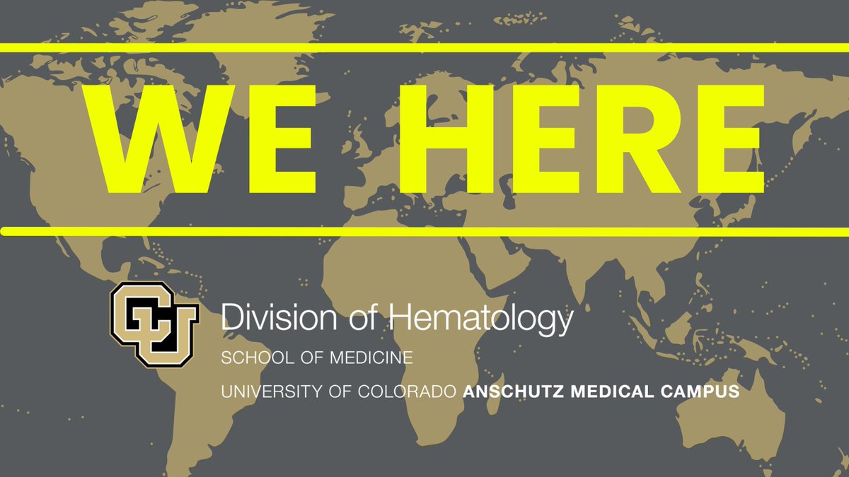 CU MONDAY #ASH23 Dec 11-MONDAY! @dalessandrolab 10:30am | Rm 33-SD Conv Ctr @mana1981 10:30am | Great Hall B-Manchester Grd Hyatt @AlanaKelScience 6pm | poster Halls G-H, SD Conv Ctr @cduarte8490 6pm | poster☝️ Kellen Gil 6pm | poster☝️ Marc Schwartz 6pm | poster☝️