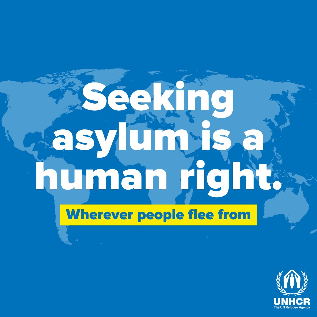 People forced to flee are often deprived of fundamental human rights.
 
UN @‌Refugees works on behalf of all displaced and stateless people to ensure that their basic rights are protected.

This #HumanRightsDay, let's stand up for human rights of refugees.