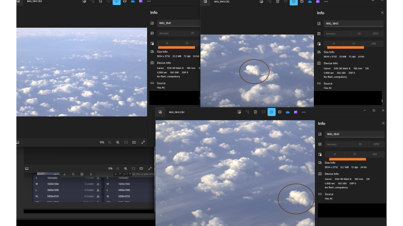 Ashton Forbes tweet media