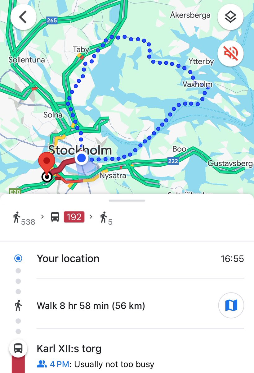 “paula” tweet media