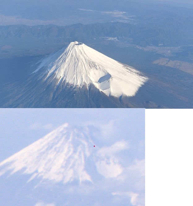 Ashton Forbes tweet media