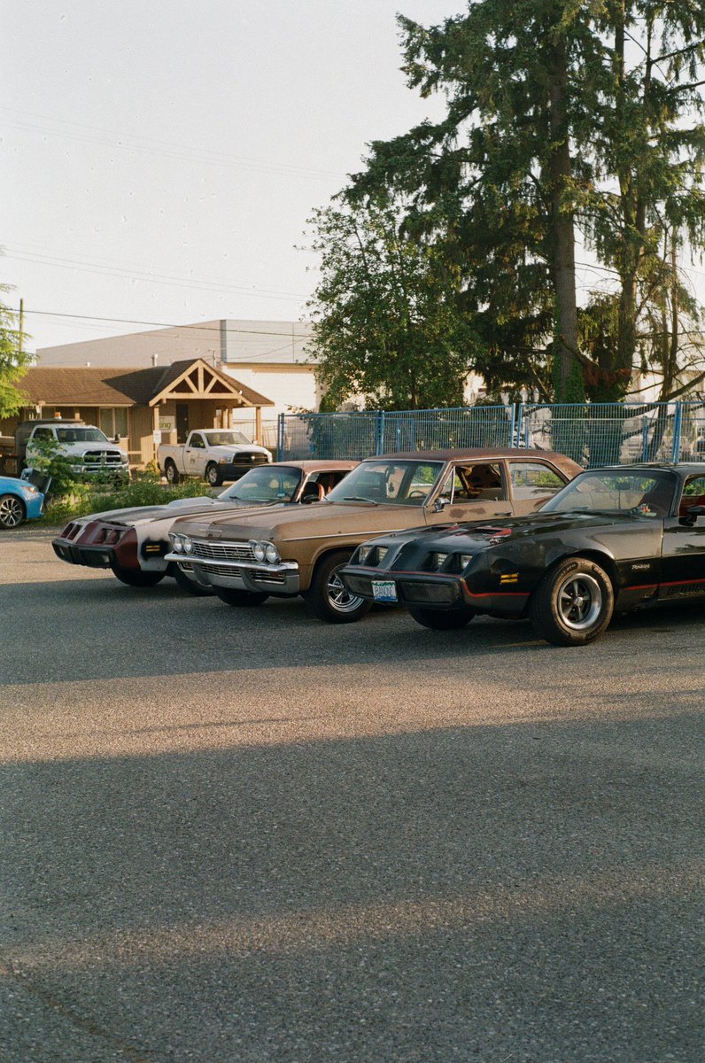 critter_rose's tweet image. memories 🖤 #cargirls #classiccars #1980firebird #pontiactransam #ladydriven #belair #critterrose