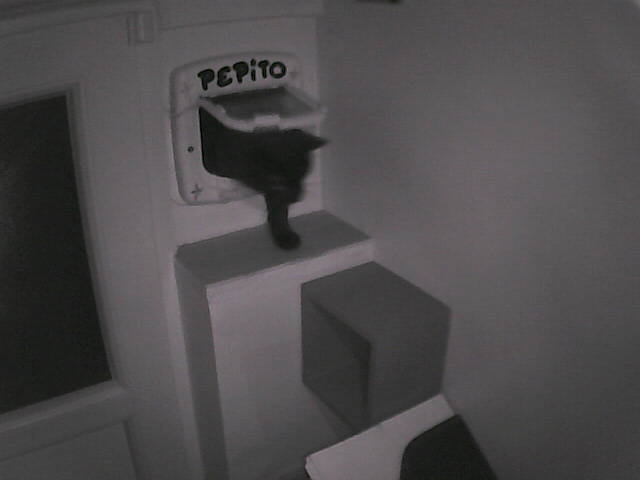 PepitoTheCat's tweet image. Pépito is back home (20:47:58)