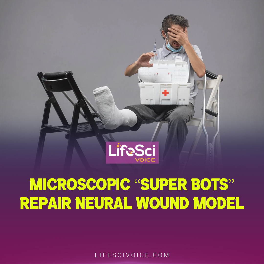 LifeSciVoice's tweet image. 🧠 Sci-Fi Comes to Life: Anthrobots Show Healing Potential! 🤖🔬 In a groundbreaking development, scientists create miniature biological robots, or biobots, capable of healing brain cells within a controlled environment.
#Anthrobots #Biobots #Regenerative #scientificinnovation