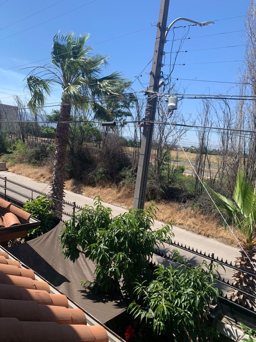loretosantos's tweet photo. @alcaldejrgodoy @munirancagua @PabloSilvaAmaya peligro de incendio por las altas temperaturas de hoy las ramas tocan los cables alumbrado público además del pastizal que rodea el sector donde se está construyendo carretera el cobre (camino antiguo sauzal/san Damián) https://t.co/K8eVBHWRFl