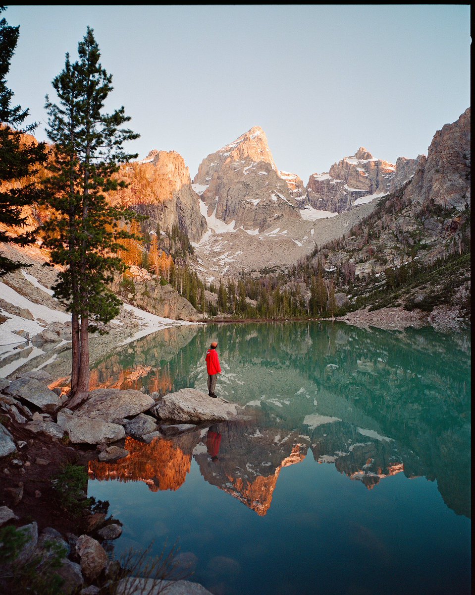 The Camera 🎞️ The Photo