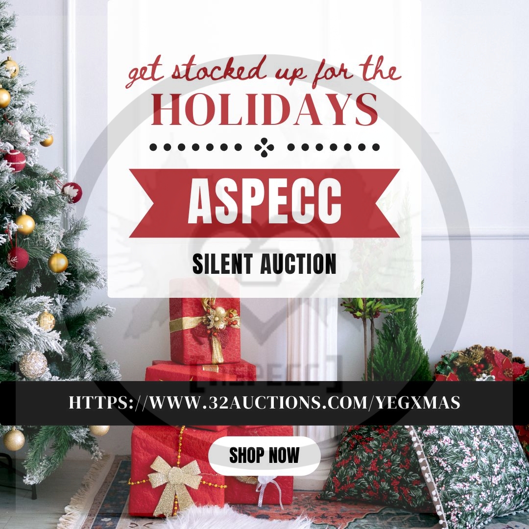 Don't forget to check out our holiday auction!! Grab your naughty but nice items for yourself or a partner! 32auctions.com/yegxmas  #yeg #holiday #silentauction #fundraising  Grownup fun!