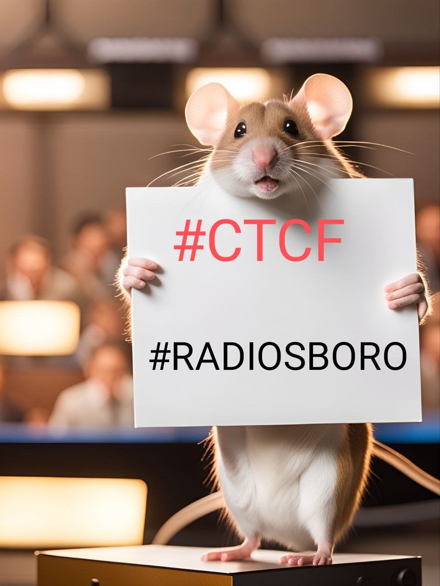 DRusconi's tweet image. #CSCF #RADIOSBORO