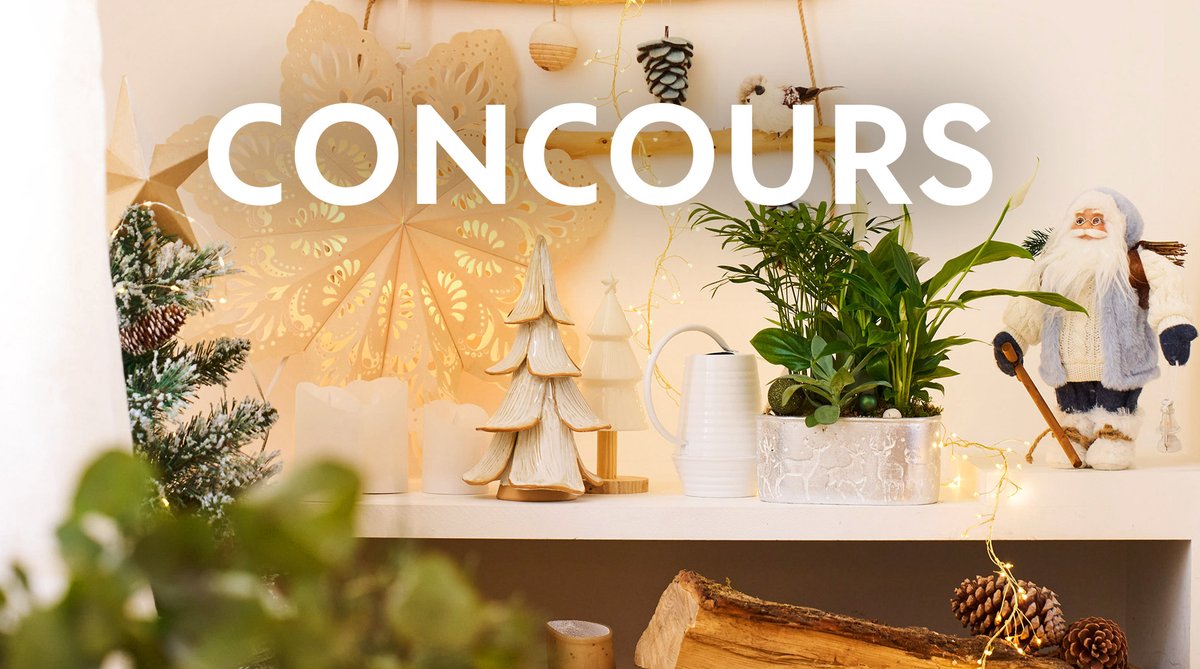 Truffaut's tweet photo. ✨ #Concours de Noël
C'est l'heure de notre rendez-vous du vendredi pour vous faire remporter une carte cadeau de 50€ 🎁 2 gagnants seront tirés au sort !

Pour jouer :
🌟Follow @Truffaut
🌟Citez votre musique de Noël préférée
TAS le 22/12 🍀

Règlement : https://t.co/vgJpyWHN3o https://t.co/eoBu8nJBBU