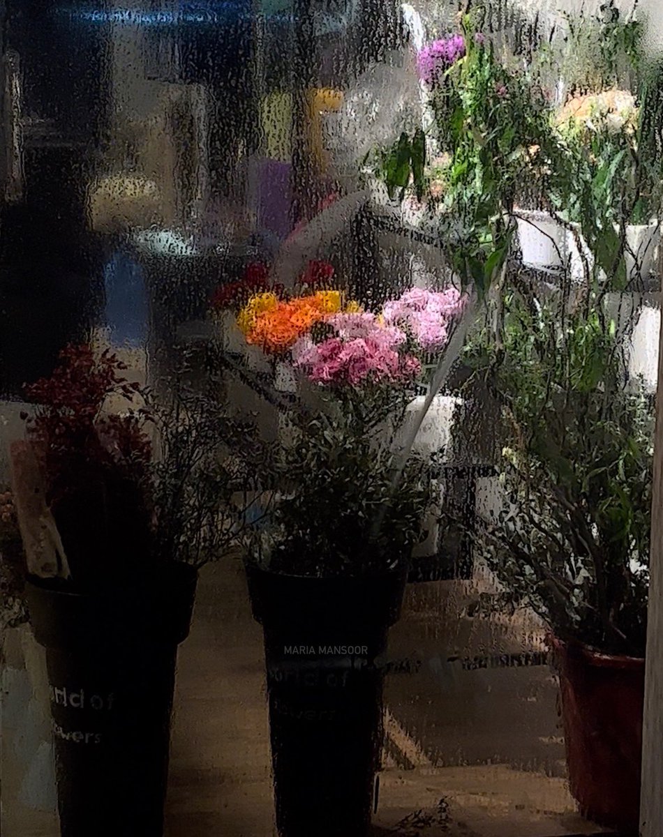 MARIAMANSOOR_'s tweet photo. December rain at night🖤 https://t.co/qZpUmtePpb