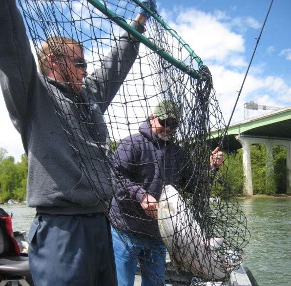 Sandy River Steelheaders tweet media