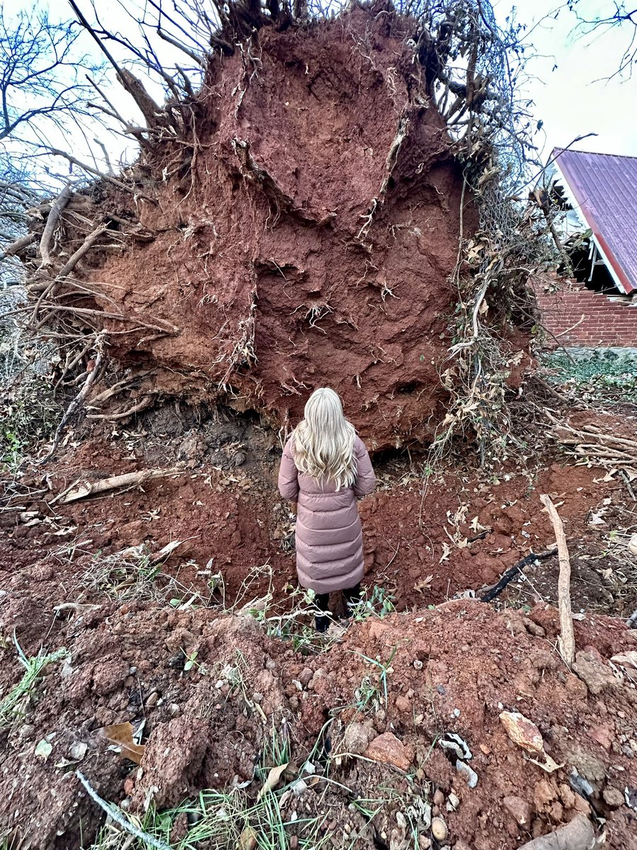 Massive downed tree in Clarksville along Britton Springs Road. For reference -- I'm 5'9 @WSMV