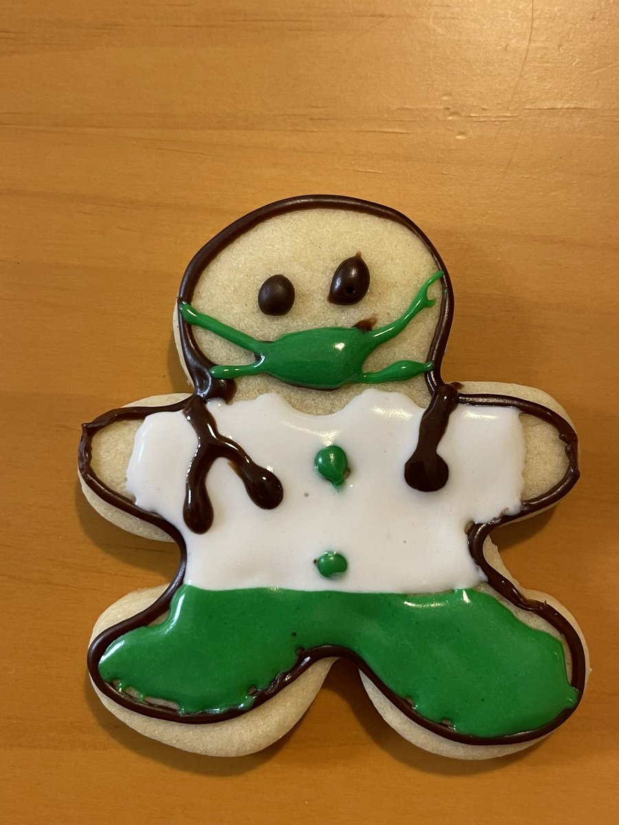 Merry Christmas! 🍪🎄 #cookies #sugarcookies #doctor #medicine