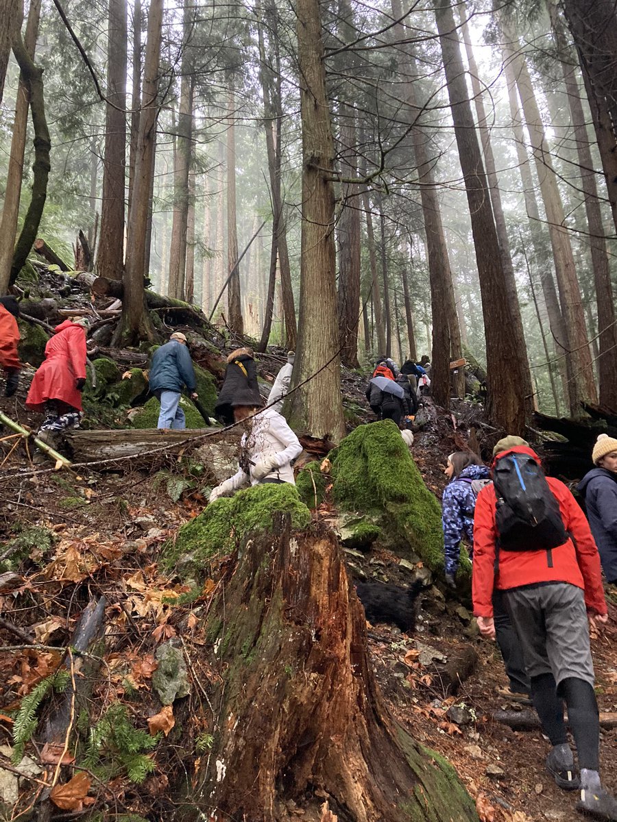 Michael Moore tweet media