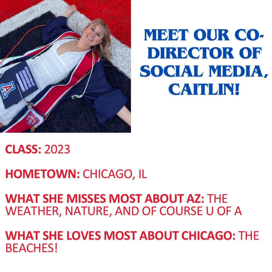 WindyCityCats (@windycitycats) on Twitter photo 