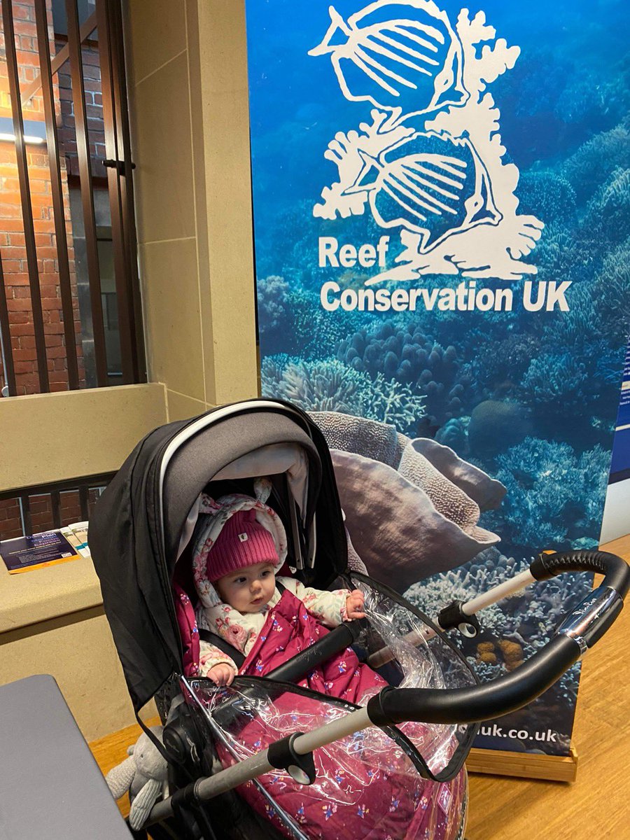 The youngest attendee at #RCUK2023 @ReefConsUK 🐠 🪸