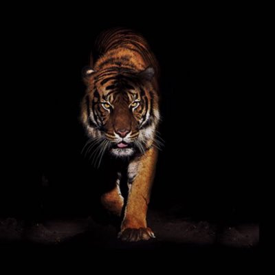 #صورة_جديدة_للملف_الشخصي