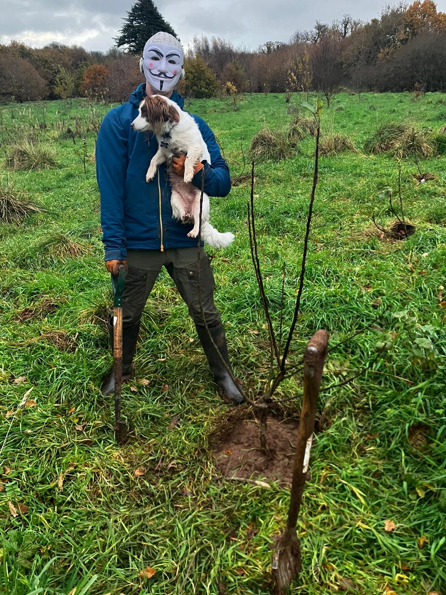 🇬🇧 En Irlande du Nord, un homme masqué plante des arbres un peu partout dans la ville, sans aucune autorisation. Ce "jardinier fantôme" est une sorte de super-héros écolo, qui a su fédérer des milliers de personnes autour de son projet.
🎧 Reportage de <a href="/ClemencePenard/">Pénard Clémence</a> à 12h10