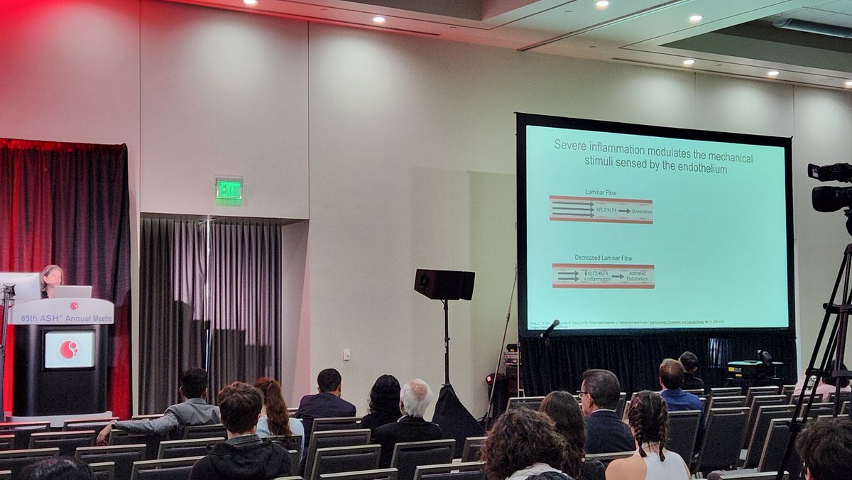 Hemostasis and Thrombosis, BIDMC (@hemethrombbidmc) on Twitter photo A great talk today at #ASH23 by <a href="/KelseySack/">Kelsey Sack</a> of pharmacological Piezo1 activation on endothelial function A great talk today at #ASH23 by <a href="/KelseySack/">Kelsey Sack</a> of pharmacological Piezo1 activation on endothelial function