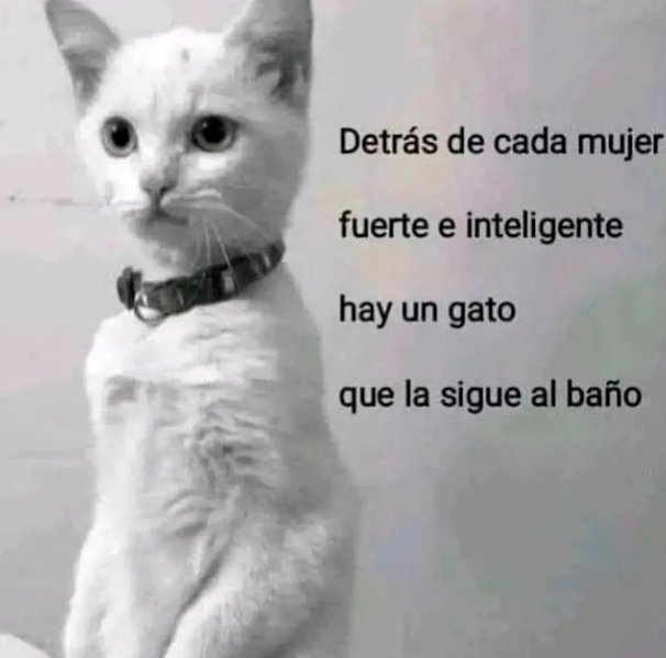 somier_es's tweet photo. esto es verdad? confirmen pls https://t.co/OpUfFnTKBy