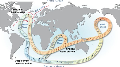 theoceansneedus's tweet image. Ocean currents are like rivers in the sea, transporting heat and nutrients globally. They influence climate patterns and marine life. Let&apos;s understand and protect these currents. 🌊🌀 #OceanCurrents #ClimatePatterns #MarineEcosystems #ClimateAction