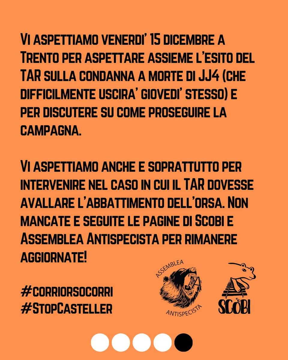 #jj4
#boicottailtrentino
#stopcateller
#orsiliberi