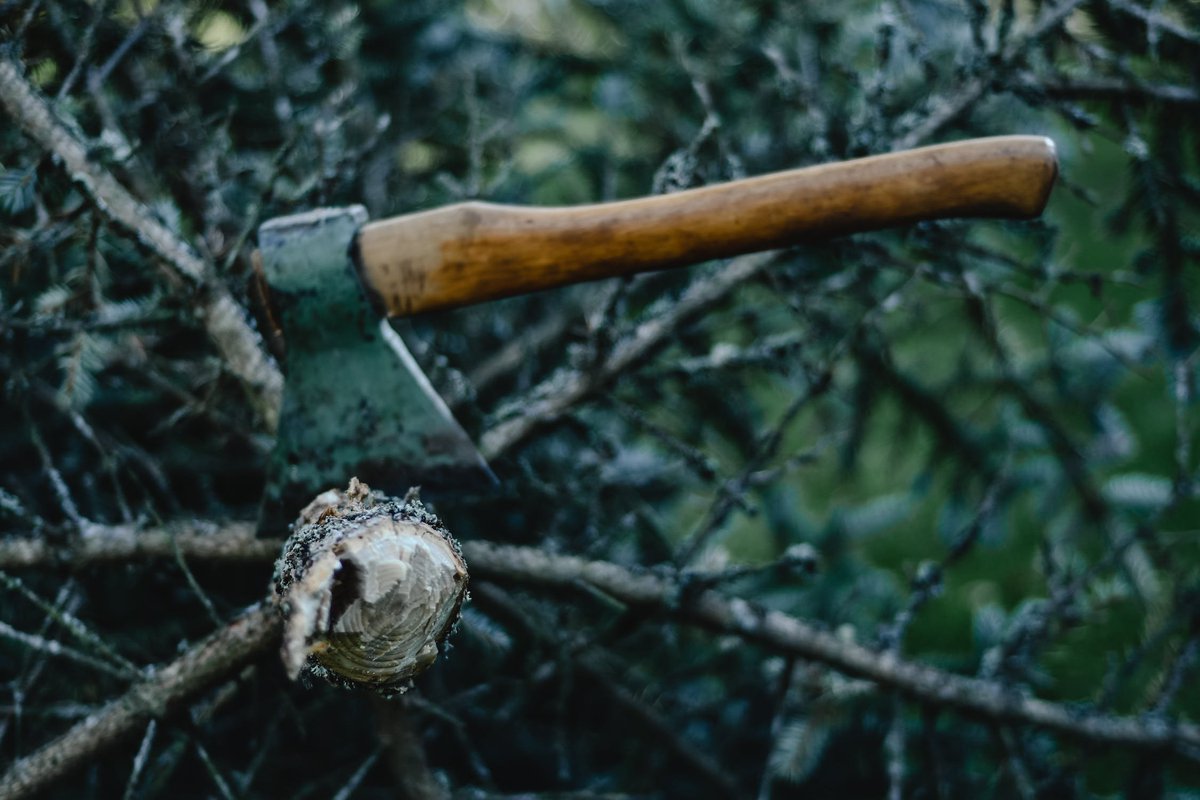 Don't simply start working. Hone your skills. A woodsman was asked, “What would you do if you had just five minutes to chop down a tree?” He answered, “I would spend the first two and a half minutes sharpening my axe.”

From <a href="/QuoteResearch/">Quote Investigator®</a>

Cc:
<a href="/IAmAdeyanju/">Adeonipekun Adeyanju Oluyomi</a>