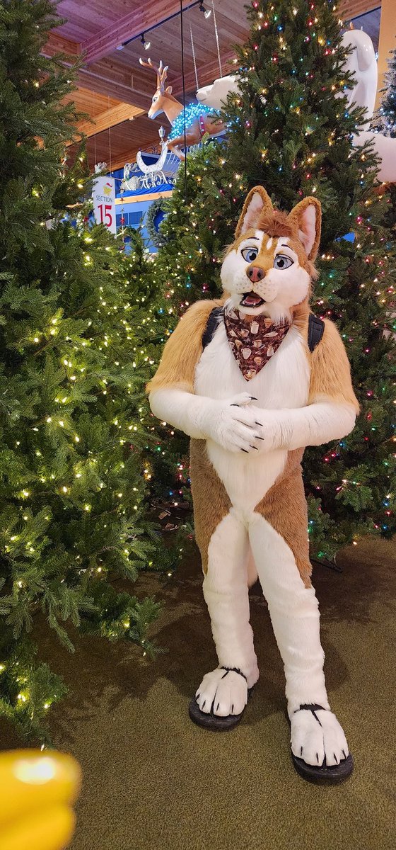 May I interest you in this gorgeous 12' Fir? Pre-lit and hinged for your convenience! #Treesales
#Christmas #ChristmasTree #Bronners #HolidayCheer #Furry #HolidayDecorations