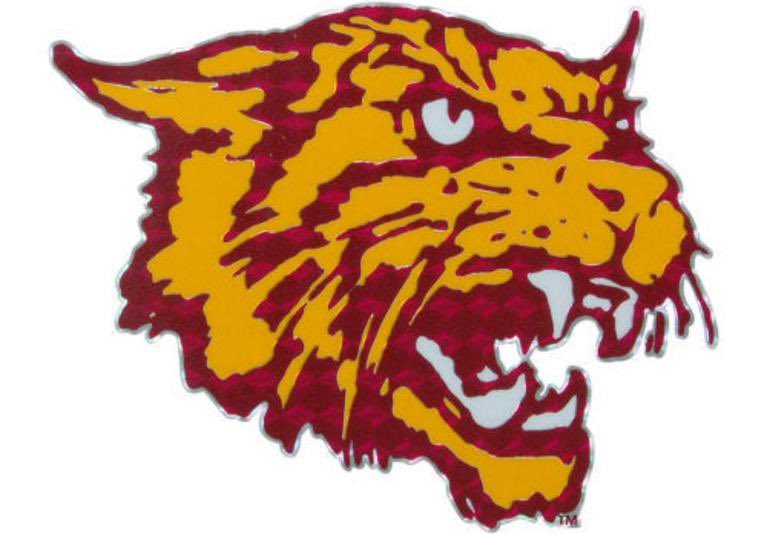 Blessed to be offered by BCU #HailWildcats