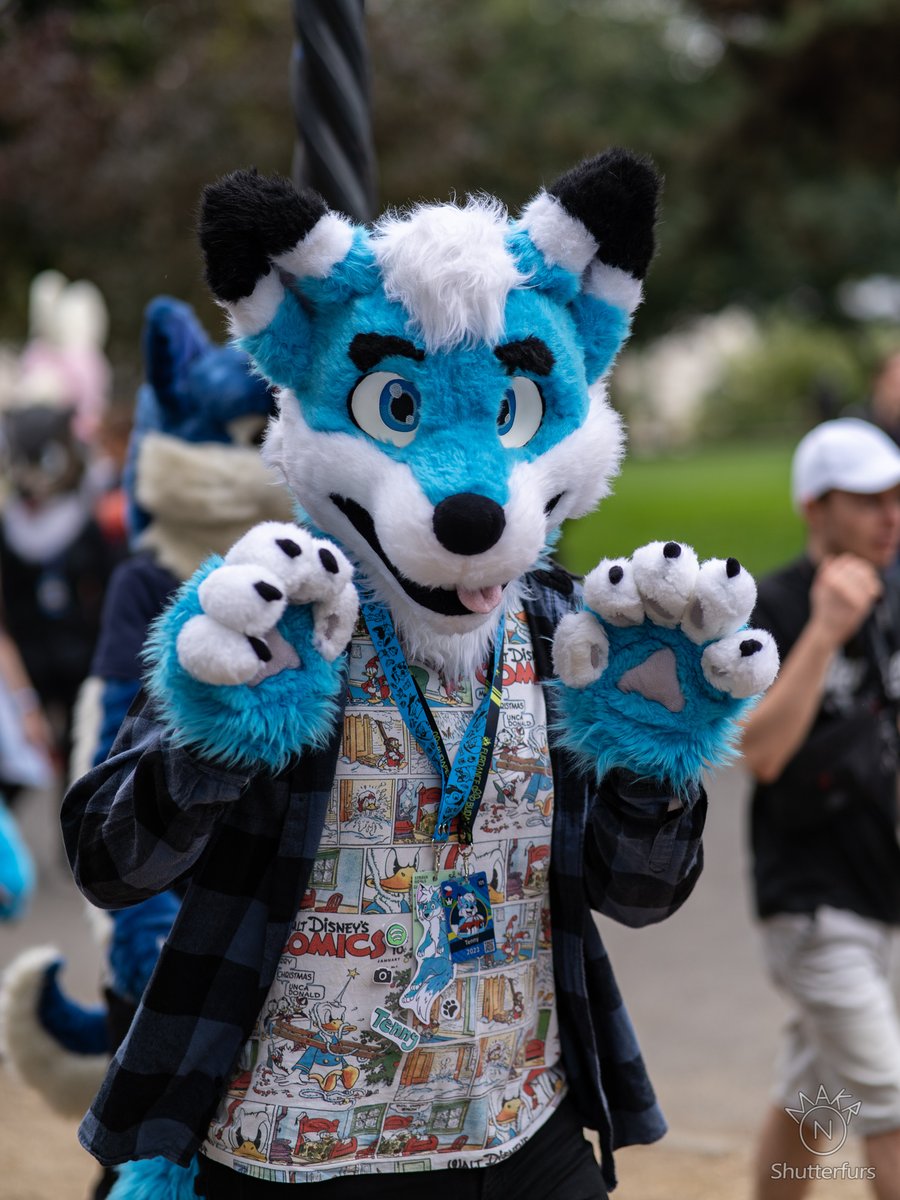 Makron_mander's tweet photo. Furdance Budapest 2023 fursuit walk_2
🐾fursuiters: soon⚙️
📷: @makron_mander

#furdance #fursuit #fursuit_photo https://t.co/9o7h7UGKxj