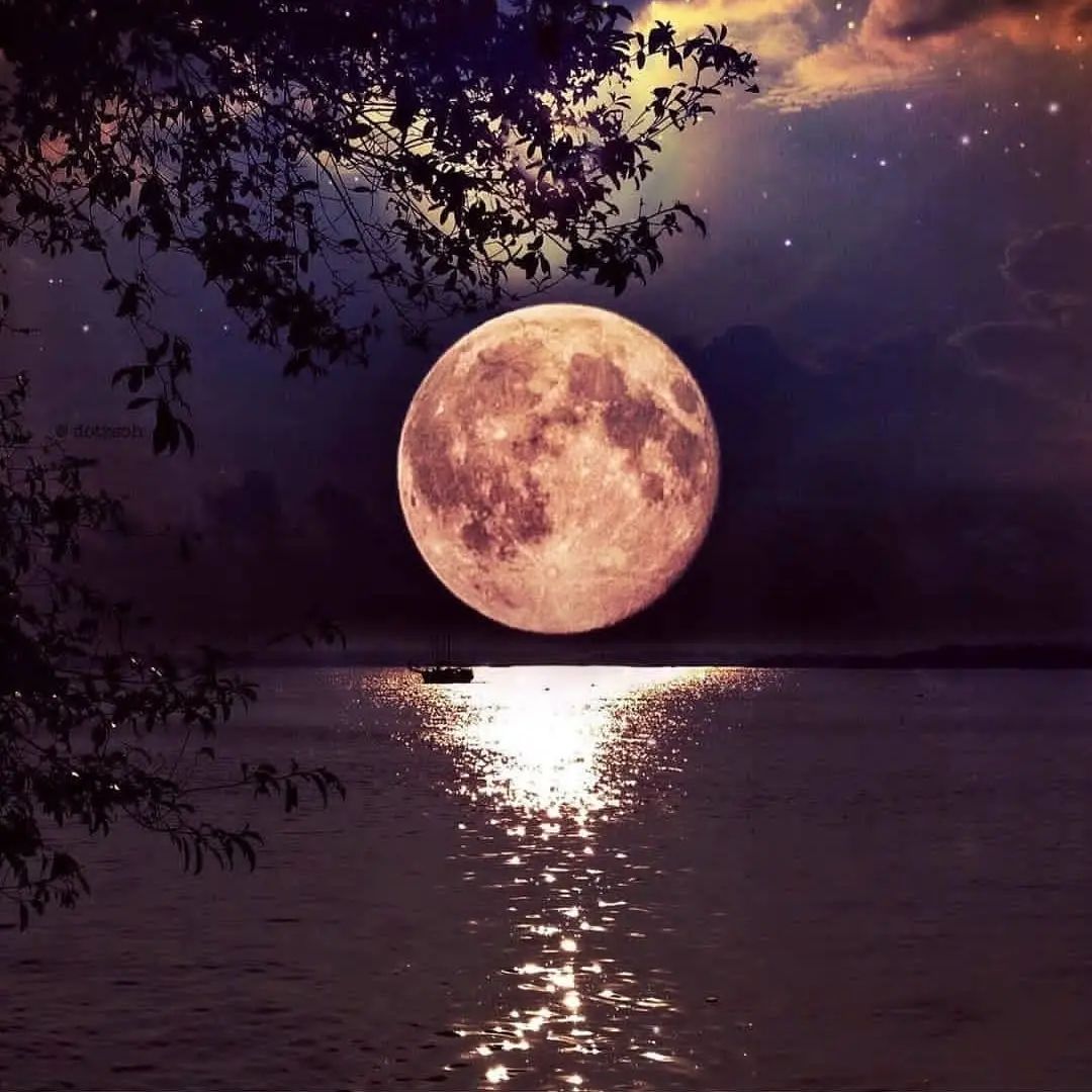 I ⬝will ﾠswallow ᠍you ⬝whole ⬝like ﾠa ﾠgiant ﾞpill