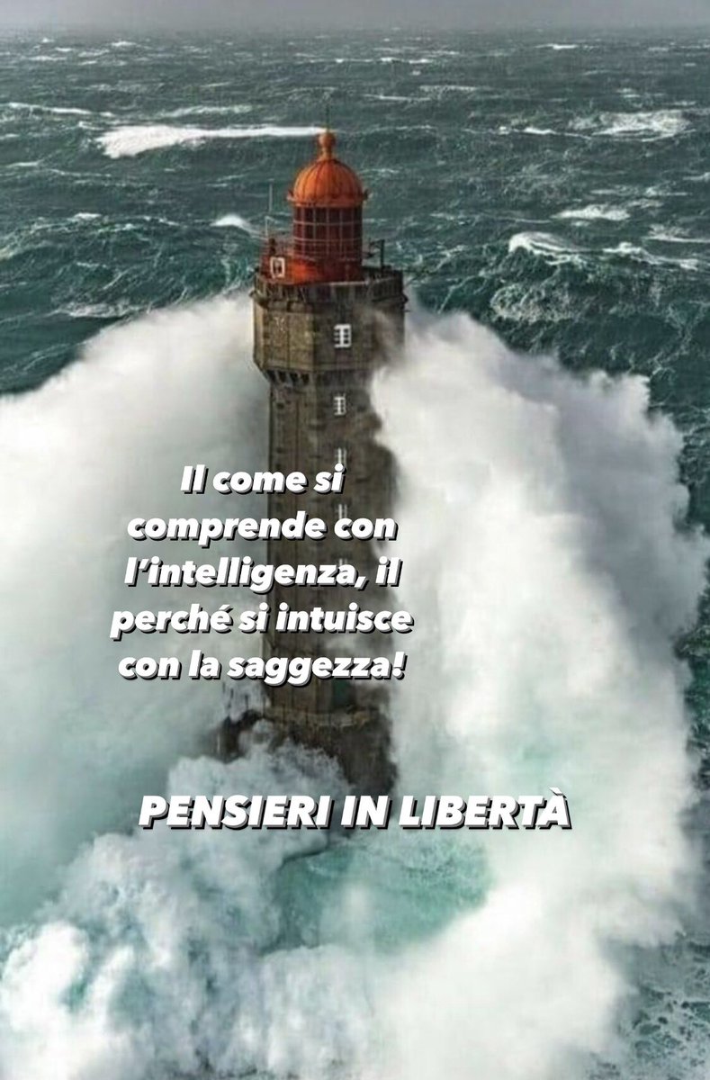 OlivieroBianchi's tweet photo. PENSIERI IN LIBERTÀ
#pensieriinlibertà #autorebianchi #come #intelligenza #perchè #saggezza #intuito https://t.co/mCS2sfrnr7