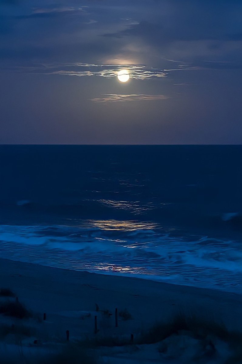 moonloverxjpg's tweet photo. la luna y el mar https://t.co/ELaLpCO9tA