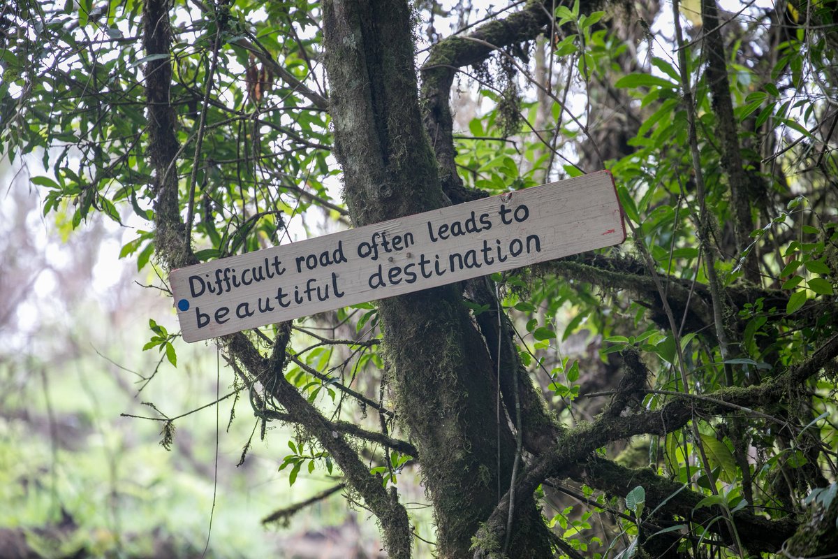 tzsafarichannel's tweet photo. TSC Safari Quote.
Cc @tanzania_forest
📍Mbeya Region
📷 @ygmbaruku
Collaboration: @bodiyautaliitanzania
#tanzaniasafarichannel #tbc #tanzaniatouristboard #tanzaniaunforgettable #mbeyaregion #lakengosi #tscsafariquote #tanzaniaforestservices #visittanzania https://t.co/UfawnuhG1I