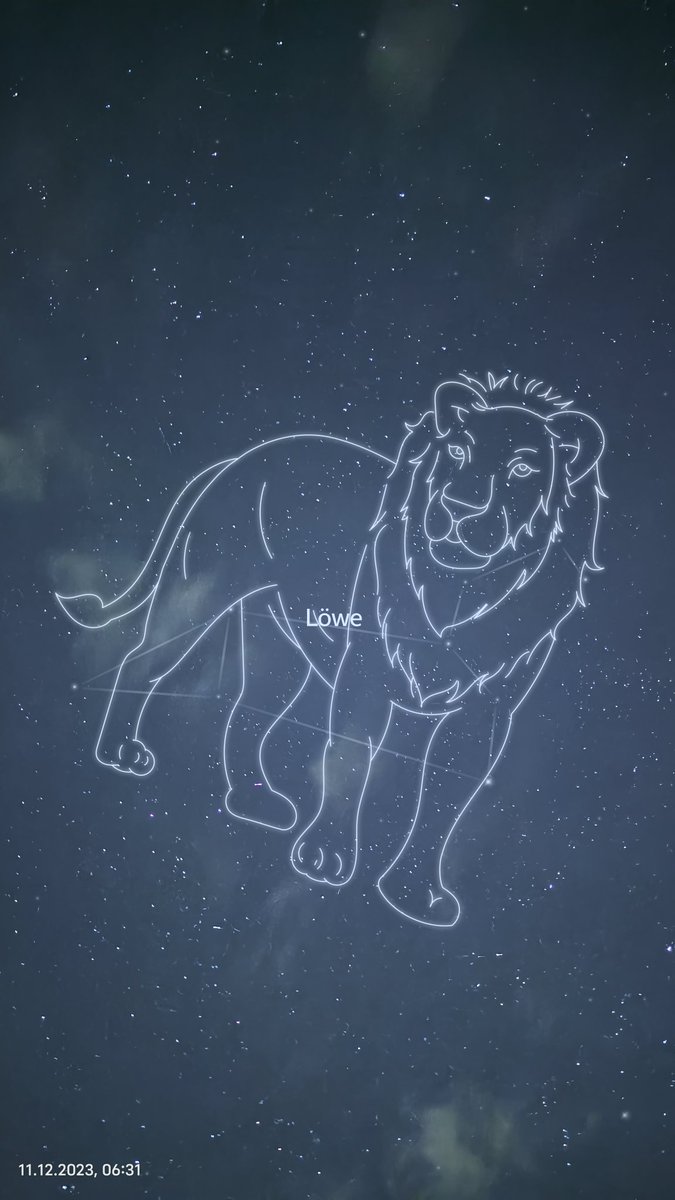 Flash_Box_'s tweet photo. #sternbild Löwe 🦁 mit dem #VivoX100Pro https://t.co/Xo0bphIPkY