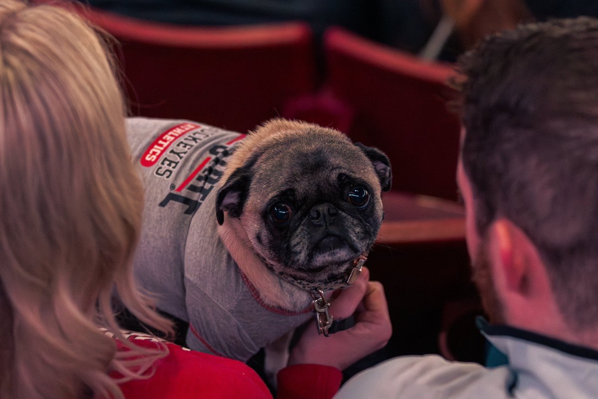 Ohio State Men's Hockey tweet media