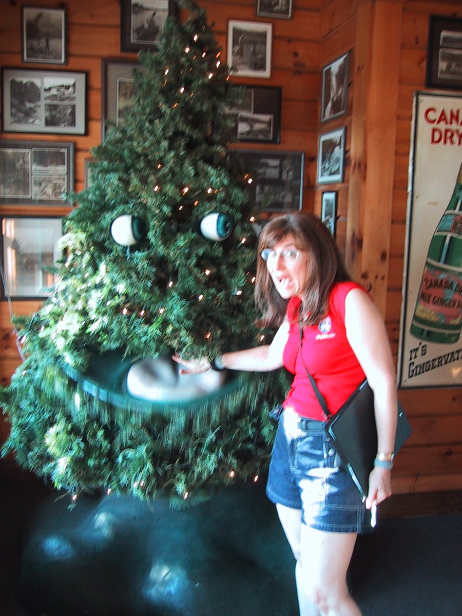 Today's animatronic of the day is Timber from Bugaboo Creek Steakhouse!  Requested by anon.
