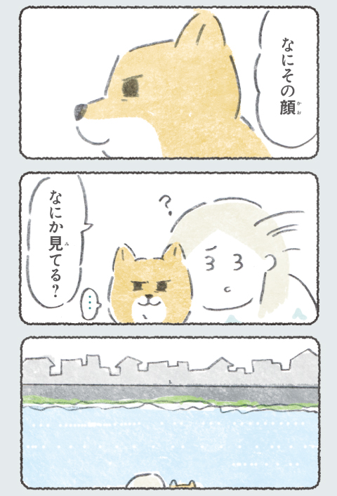 人間観察をしたい犬 (1/2) 