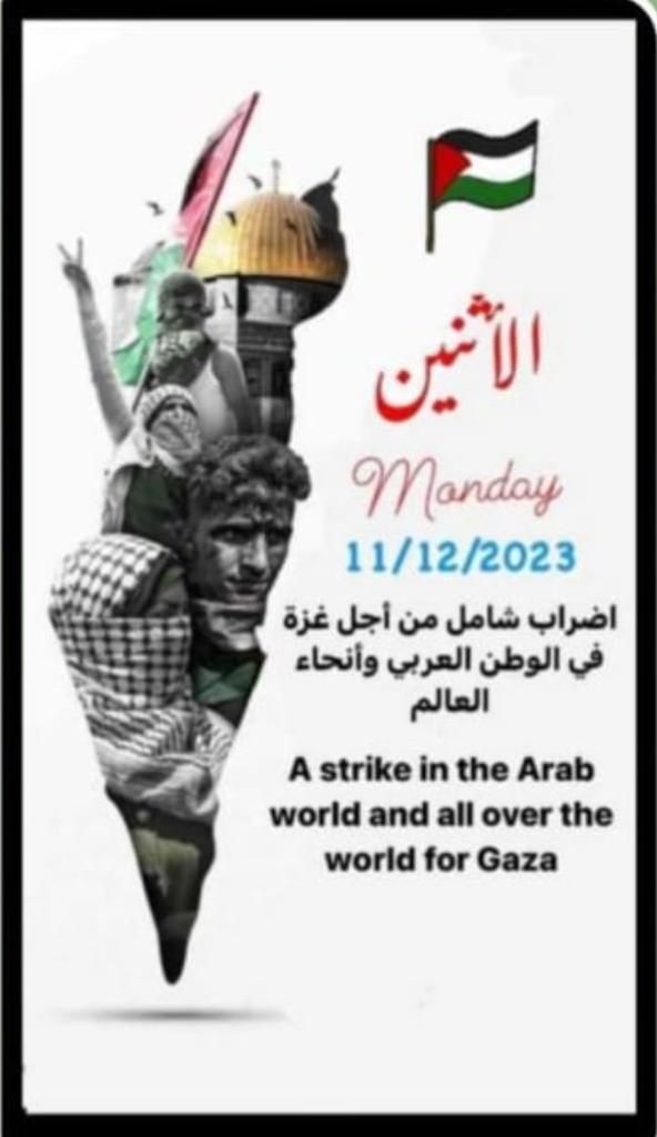 Raniaabdo's tweet photo. #GlobalStrikeForGaza #CeasefireInGazaNow https://t.co/aoJyn59EfA