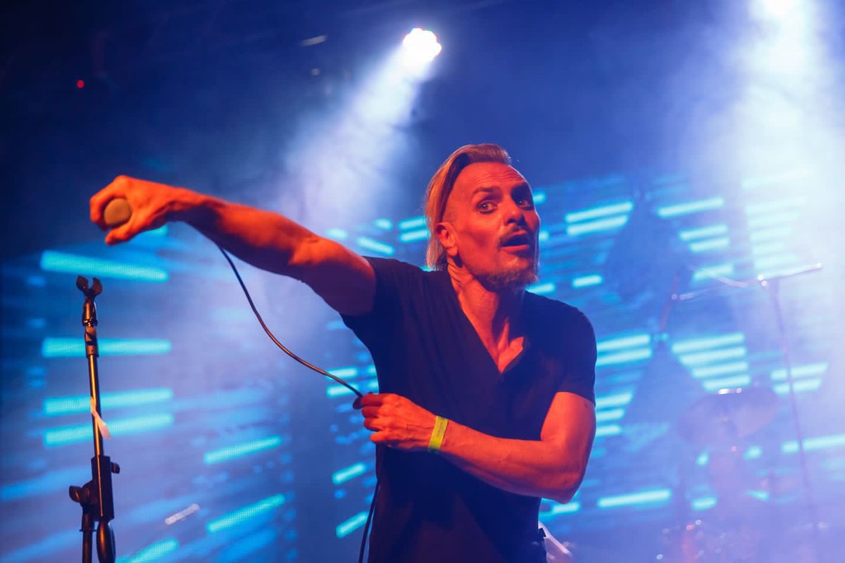 Experimento Negro tweet media