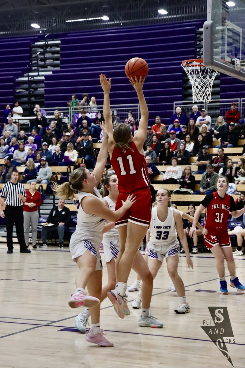 Anderson County Women's Basketball tweet media