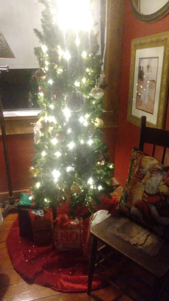 Tree up. Surprisingly the cats have not tried to climb up in it!  😆