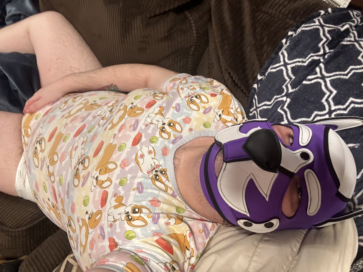 yinyinthefox's tweet photo. My arm was just barely long enough to get this shot, but content pup~ https://t.co/qjAdprOAFl