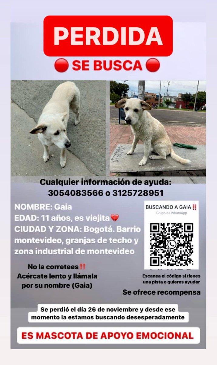 GabrielaVarP's tweet photo. 🔴🟢#cuadranteK se une a esta petición, ayúdanos a encontrar a #Gaia es una perrita adulta de apoyo emocional,se perdió el 26 de Nov y no hay datos hasta el momento, su familia esta desecha, queremos que vuelva a 🏡, ayúdame a RT 🙏.
Tel.: 3054083556 o 3125728951 #Bogota https://t.co/T2sa6PmqLo