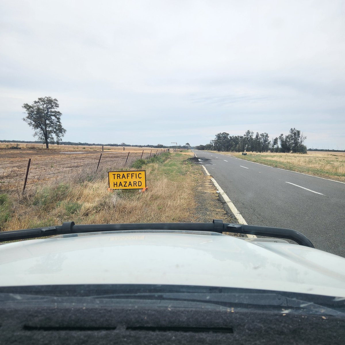 Steve Cotton tweet media